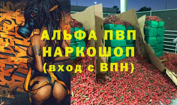 стафф Горно-Алтайск