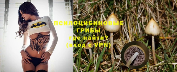 стафф Горно-Алтайск