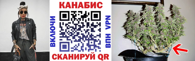 Бошки марихуана Bruce Banner  Купить где  Калачинск 